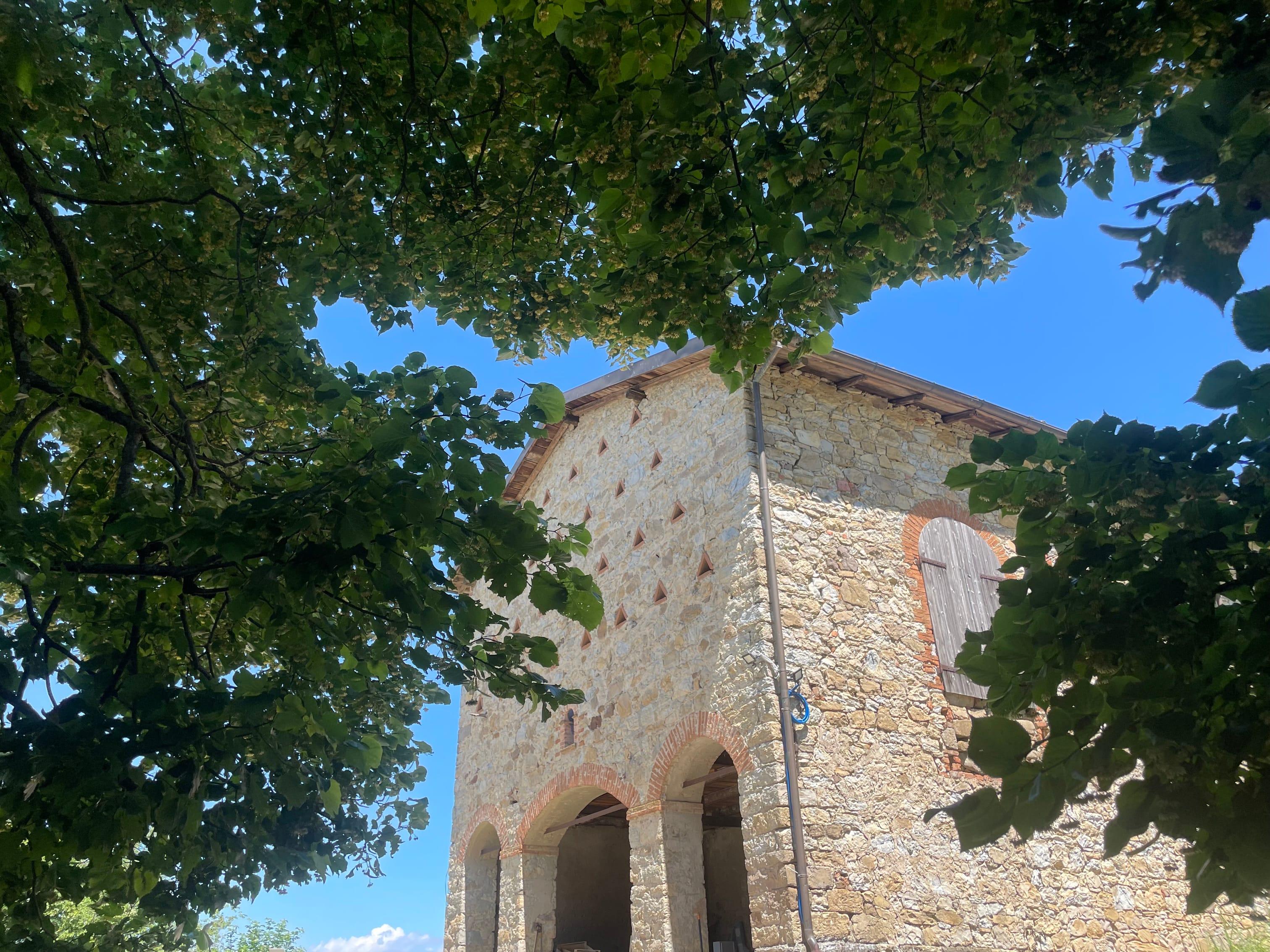 Secondary  Image