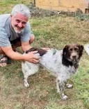 Recent property manager Maurizio