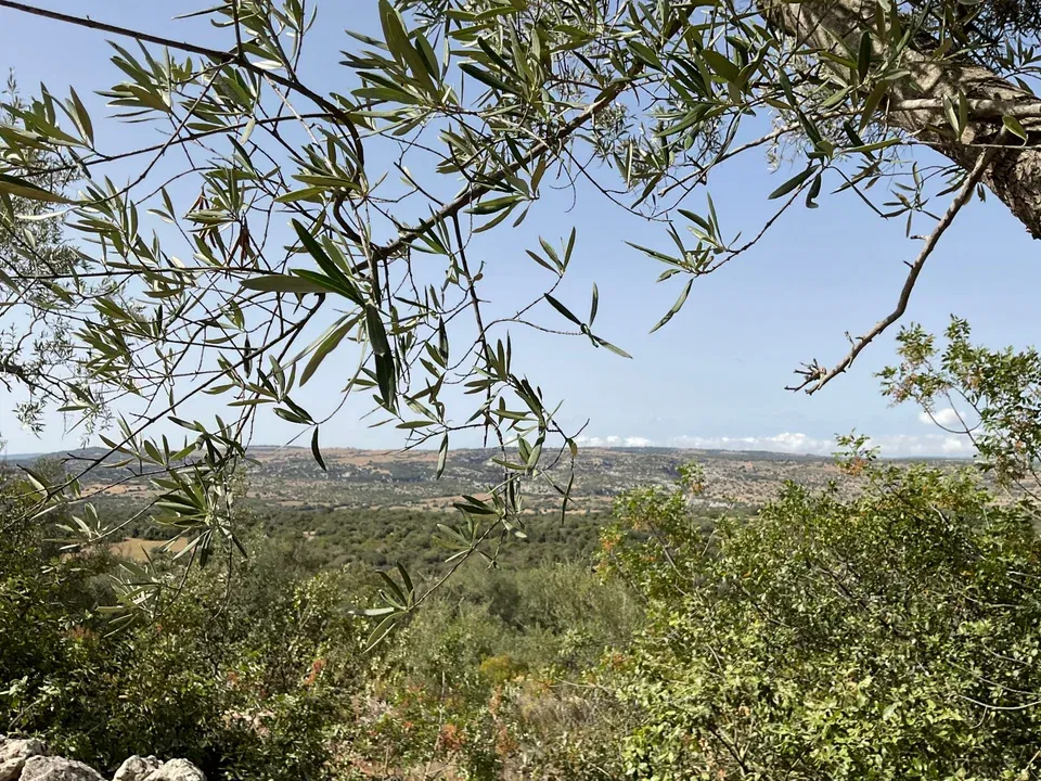 Property secondary Image 3