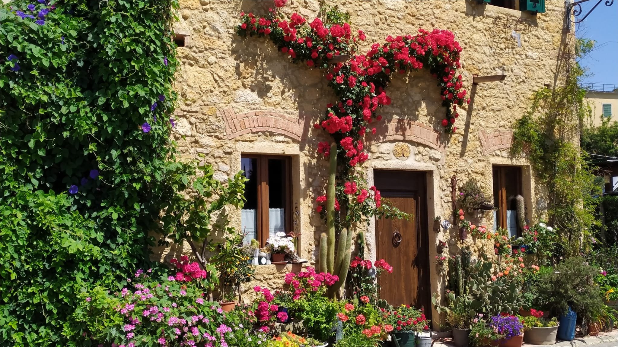 Property primary image