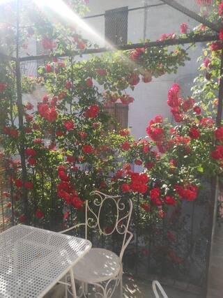 Property secondary Image 1