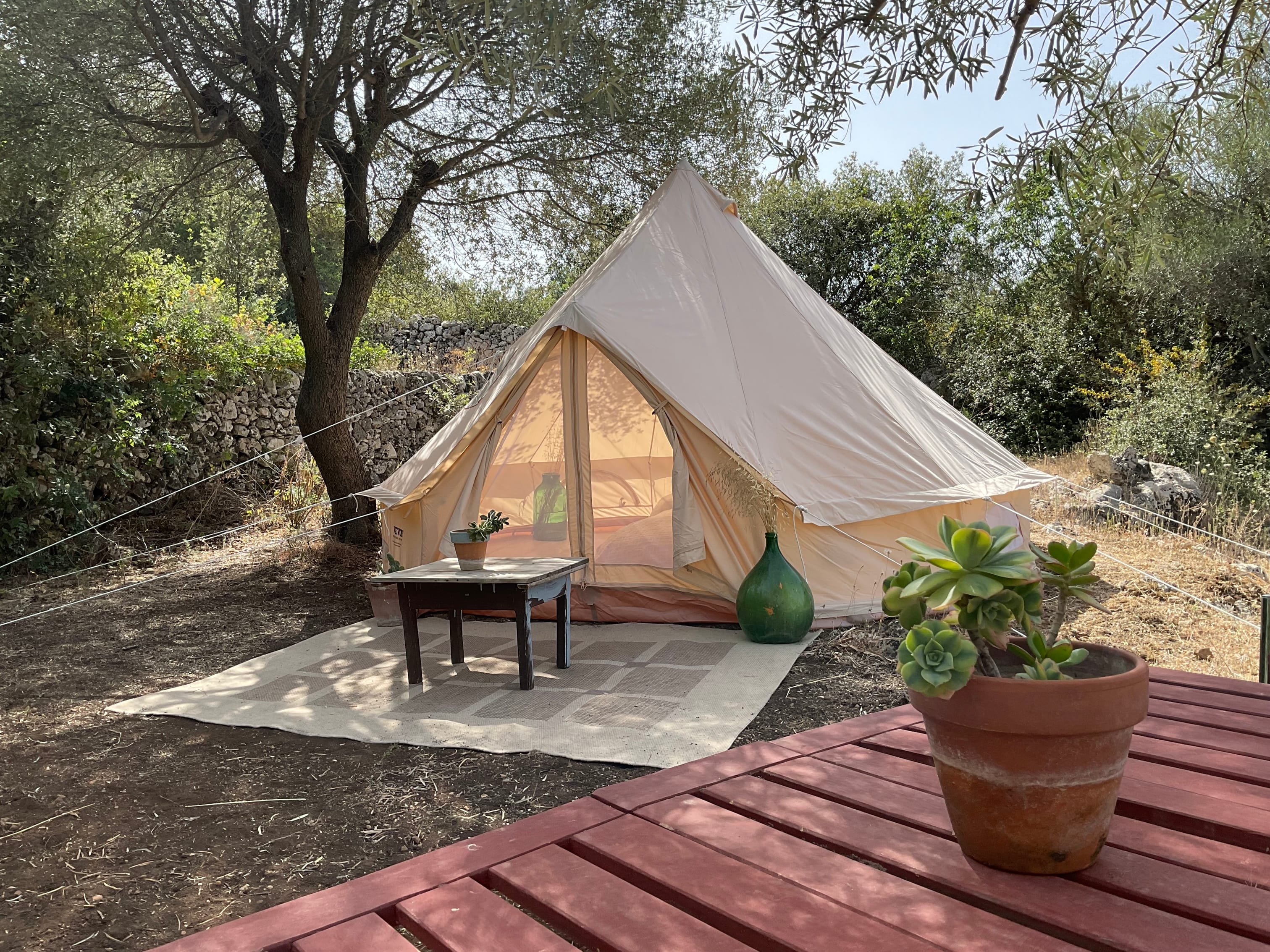 Property primary image