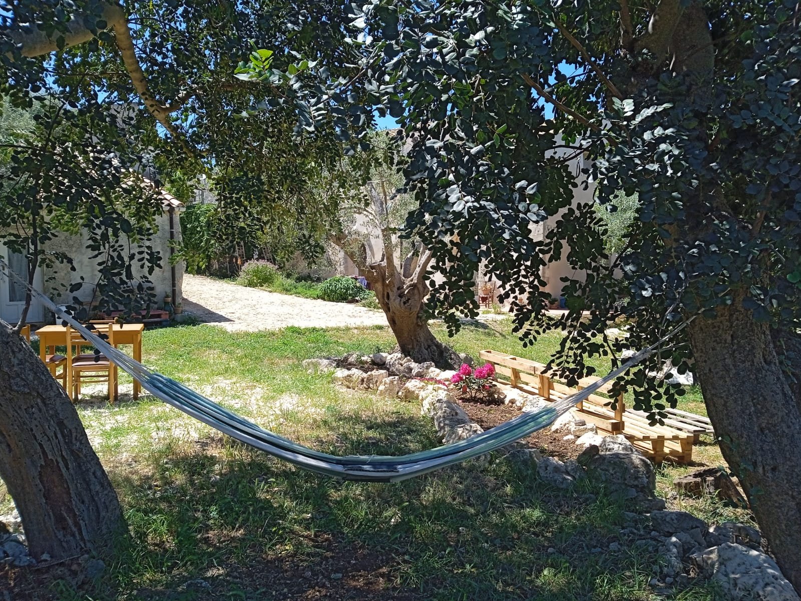 Property primary image