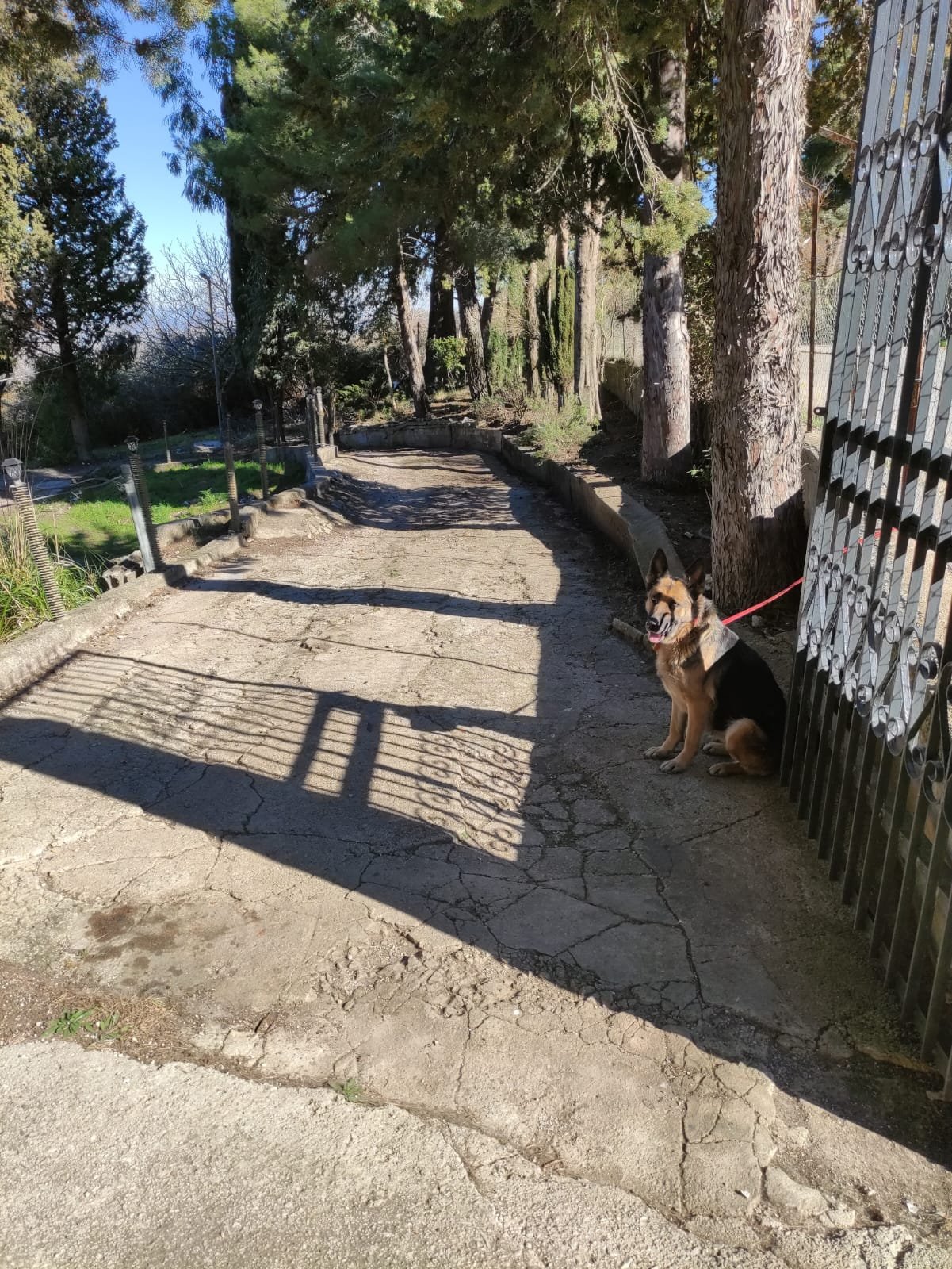 Property secondary Image 0